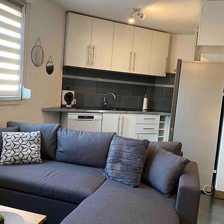 F2 Au Calme, Proche Gare, Center Parc, Sainte Croix Apartment Sarrebourg Bagian luar foto