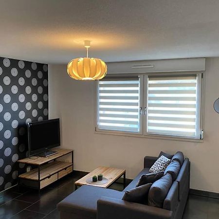 F2 Au Calme, Proche Gare, Center Parc, Sainte Croix Apartment Sarrebourg Bagian luar foto