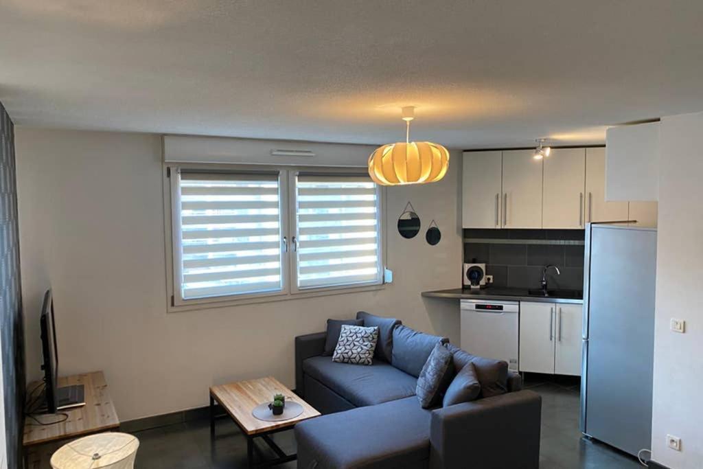 F2 Au Calme, Proche Gare, Center Parc, Sainte Croix Apartment Sarrebourg Bagian luar foto